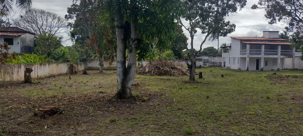 Sítio, 4 quartos, 2500 m² - Foto 3