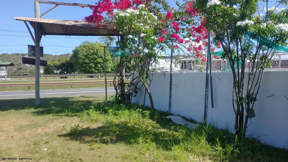 Casa, 3 quartos, 600 m² - Foto 8