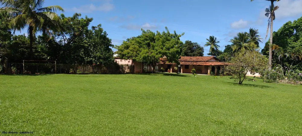 Sítio, 3 quartos, 4200 m² - Foto 14