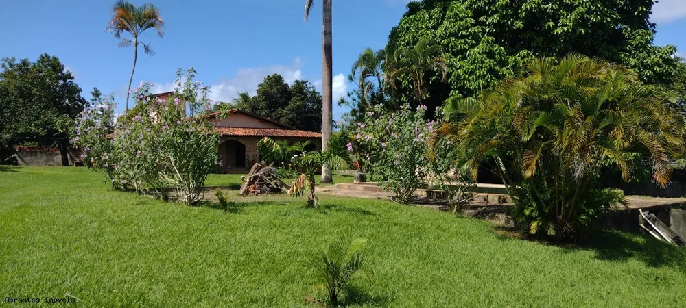 Sítio, 3 quartos, 4200 m² - Foto 1