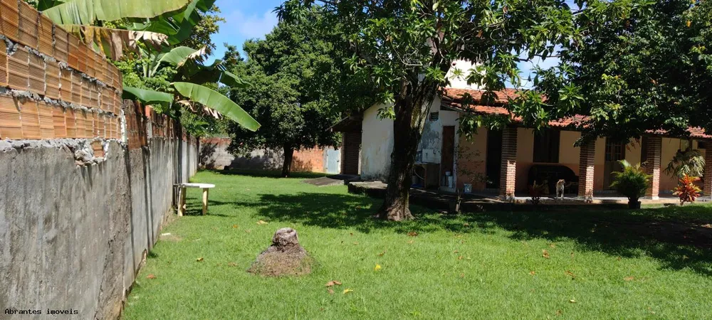 Sítio, 3 quartos, 4200 m² - Foto 5