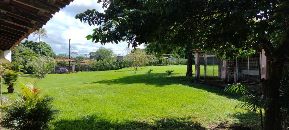 Sítio, 3 quartos, 4200 m² - Foto 1