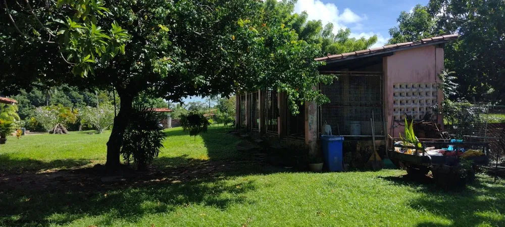 Sítio, 3 quartos, 4200 m² - Foto 4