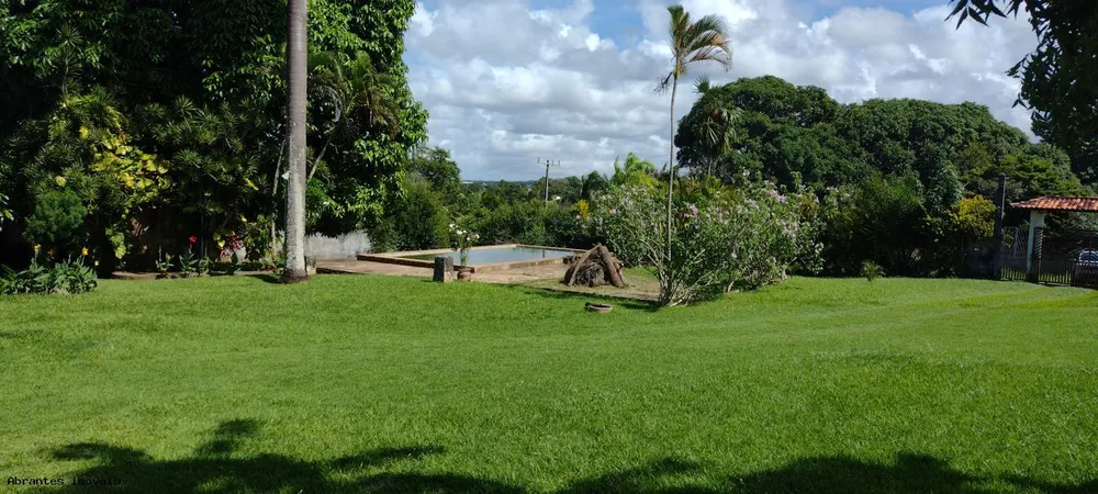 Sítio, 3 quartos, 4200 m² - Foto 10