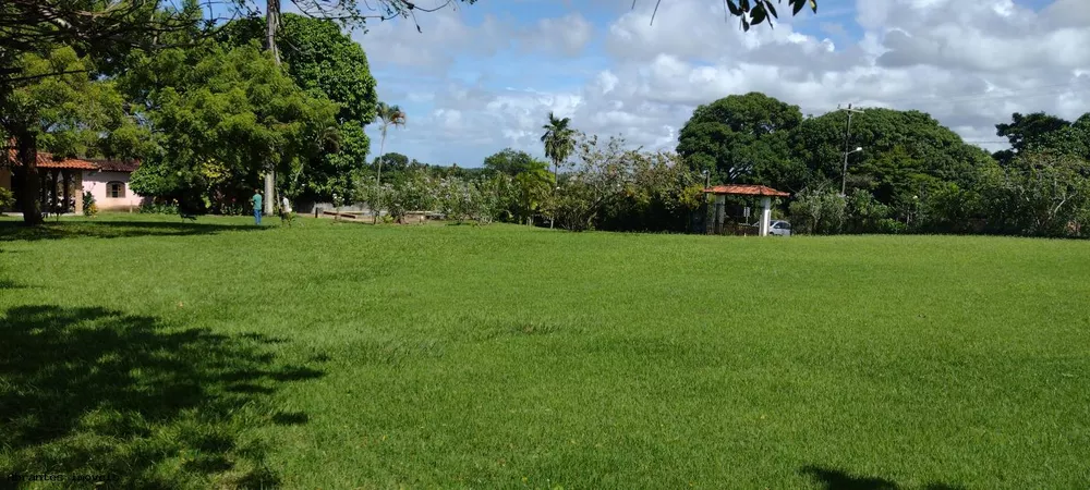 Sítio, 3 quartos, 4200 m² - Foto 7