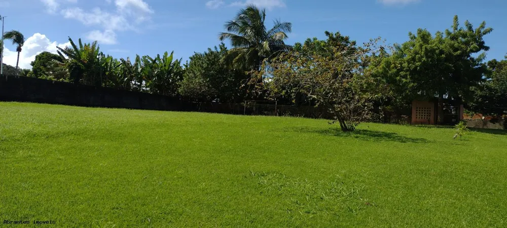 Sítio, 3 quartos, 4200 m² - Foto 16