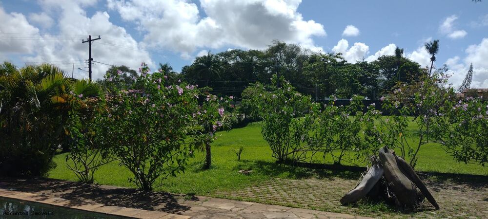 Sítio, 3 quartos, 4200 m² - Foto 4