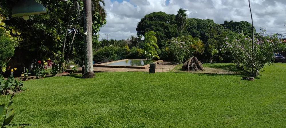 Sítio, 3 quartos, 4200 m² - Foto 5