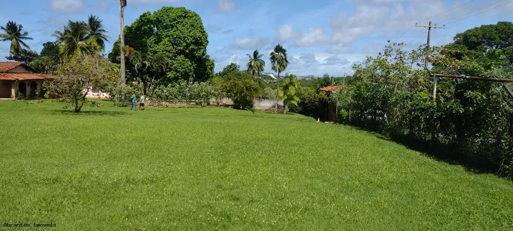 Sítio, 3 quartos, 4200 m² - Foto 15