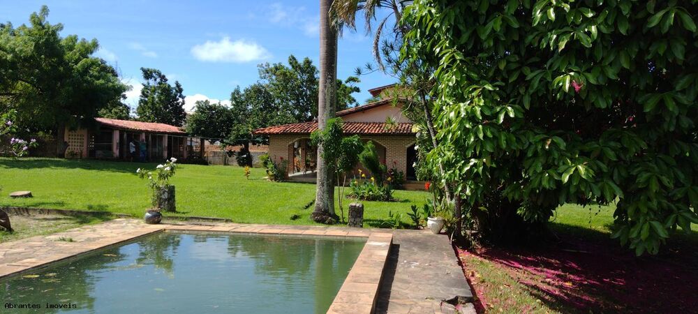 Sítio, 3 quartos, 4200 m² - Foto 3