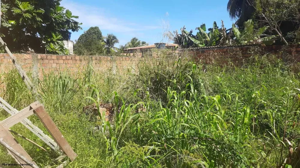 Casa, 3 quartos, 500 m² - Foto 8