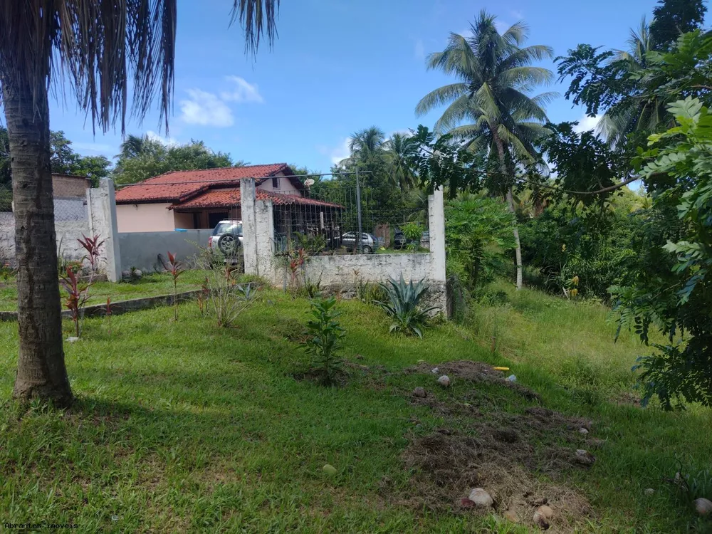 Sítio, 7500 m² - Foto 2