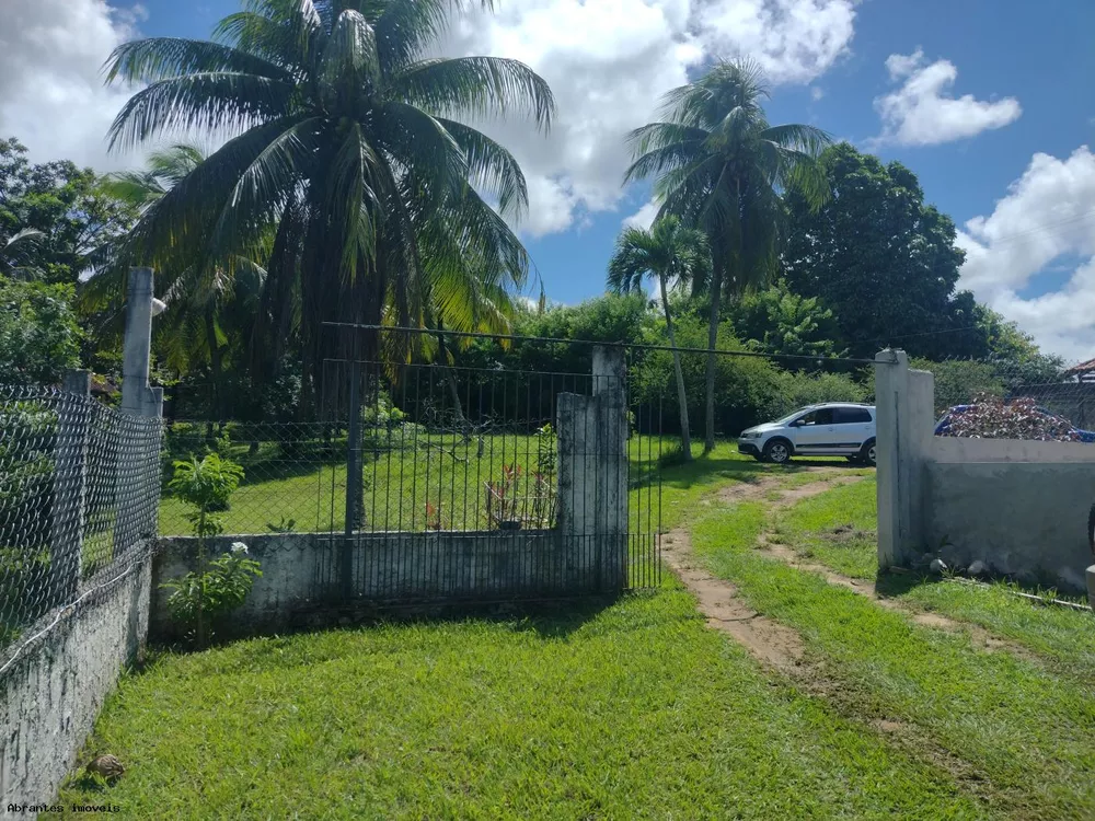 Sítio, 7500 m² - Foto 3