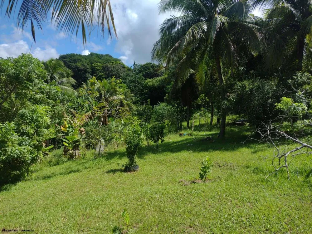 Sítio, 1 quarto, 7500 m² - Foto 3