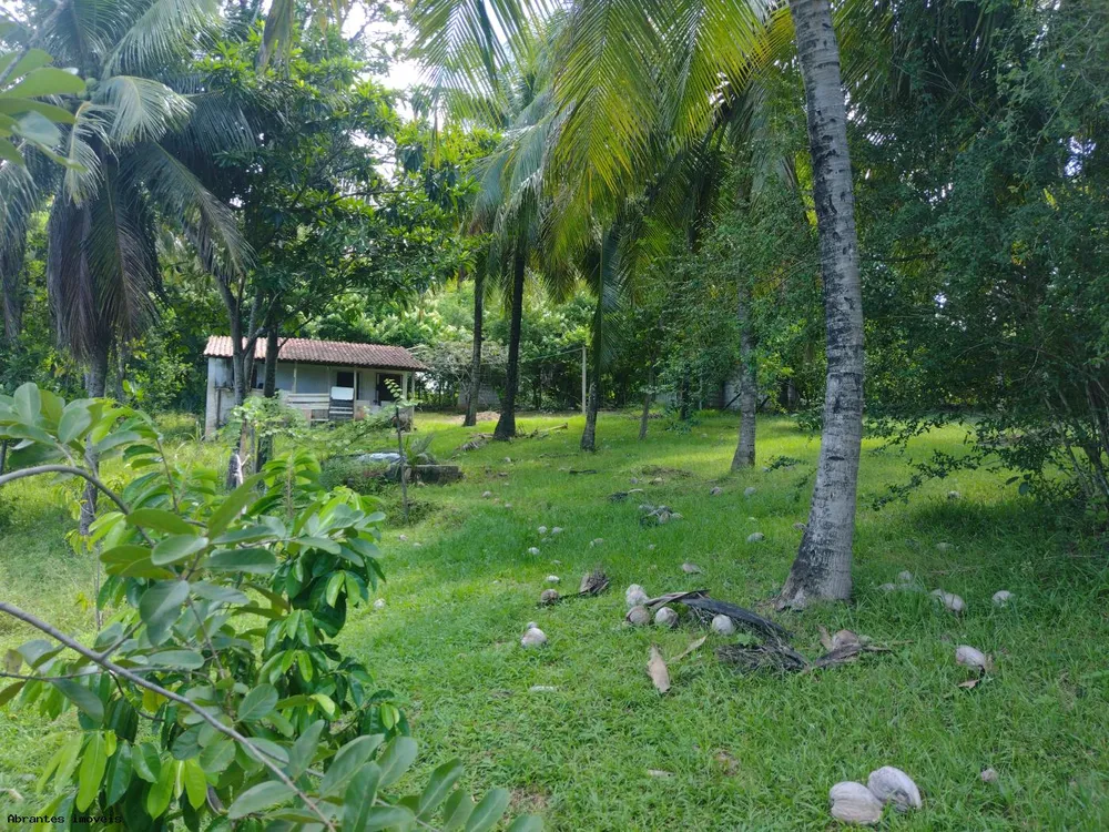 Sítio, 1 quarto, 7500 m² - Foto 5
