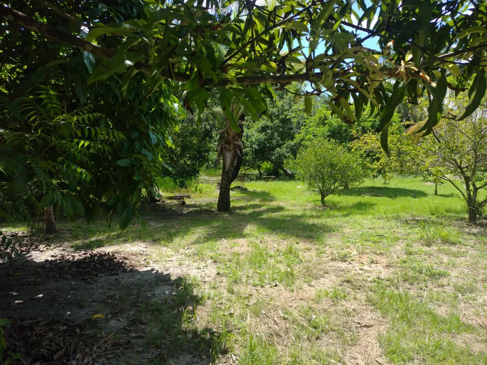 Sítio, 1 quarto, 7500 m² - Foto 16