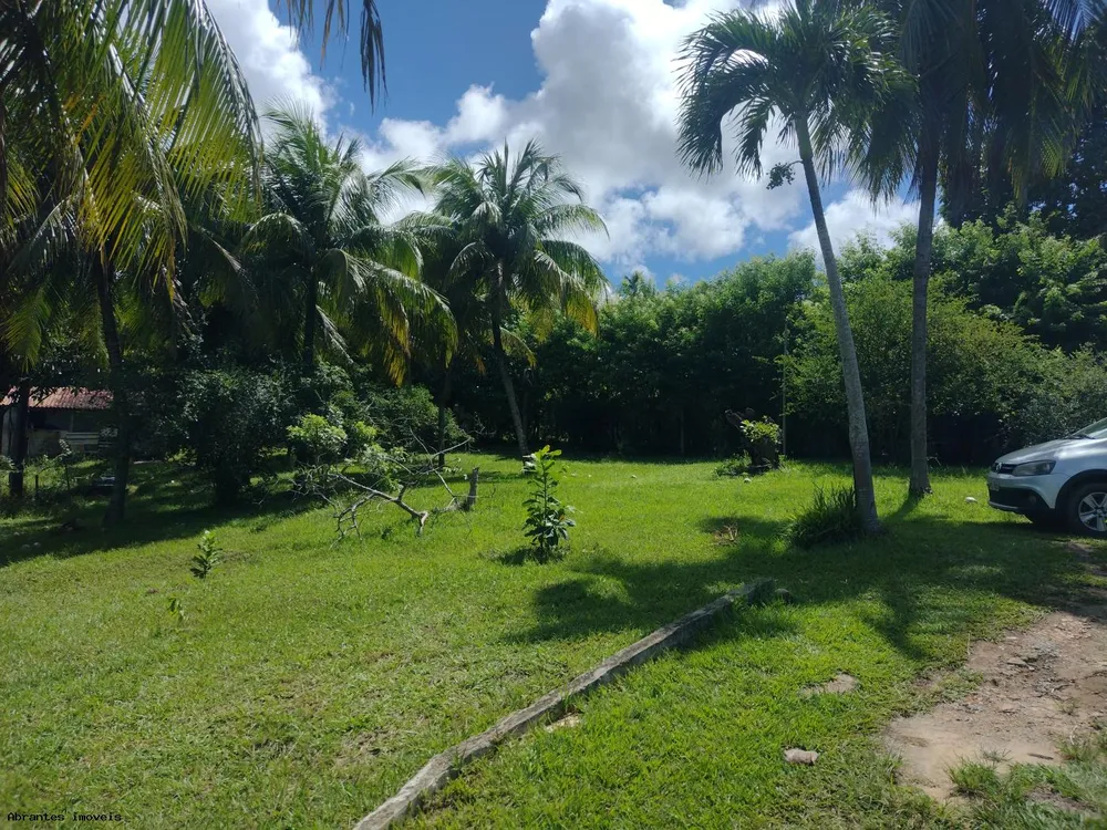 Sítio, 1 quarto, 7500 m² - Foto 6