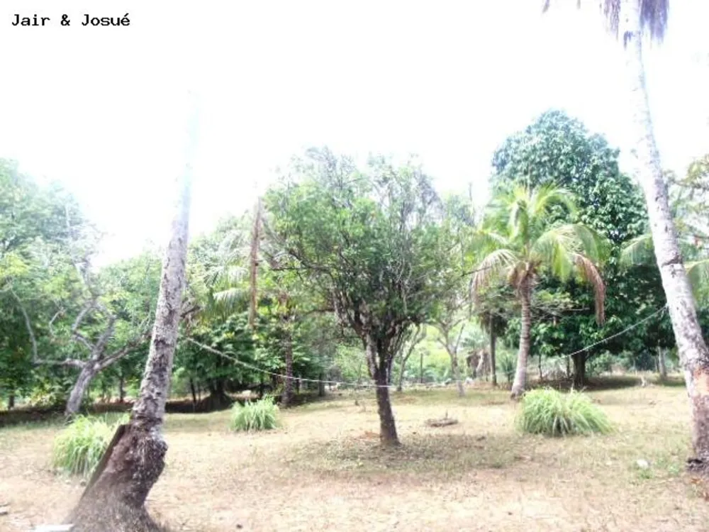 Sítio, 3 quartos, 7 hectares - Foto 8
