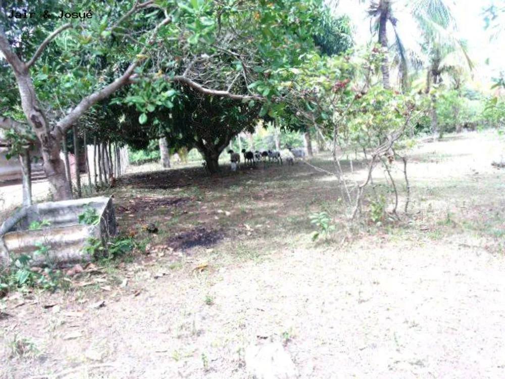 Sítio, 3 quartos, 7 hectares - Foto 7