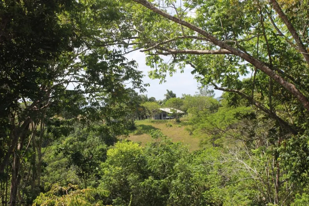 Sítio, 2 quartos, 20 hectares - Foto 7