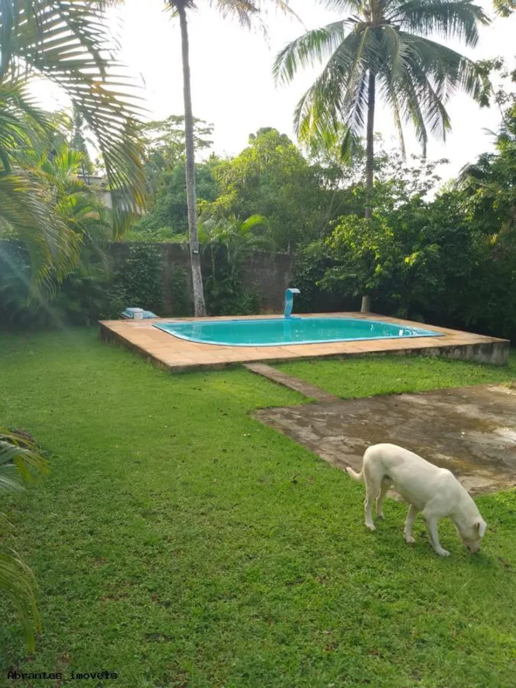 Sítio, 4 quartos, 5000 m² - Foto 2