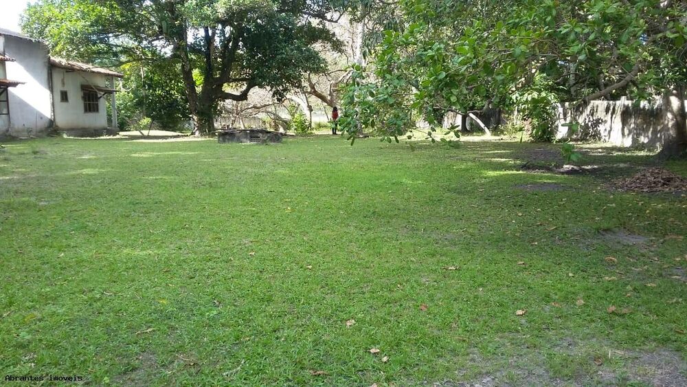 Sítio, 10000 m² - Foto 7