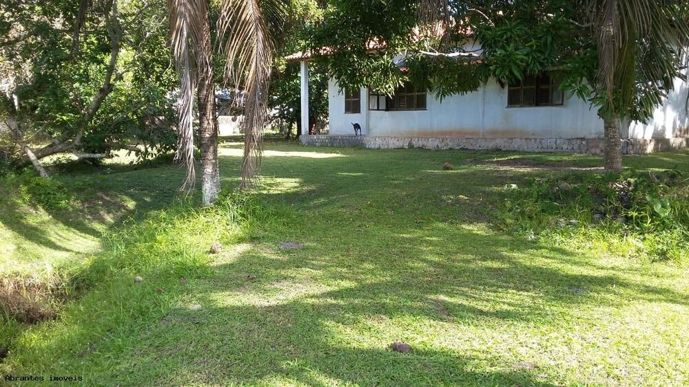 Sítio, 10000 m² - Foto 6