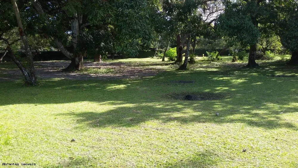 Sítio, 10000 m² - Foto 4