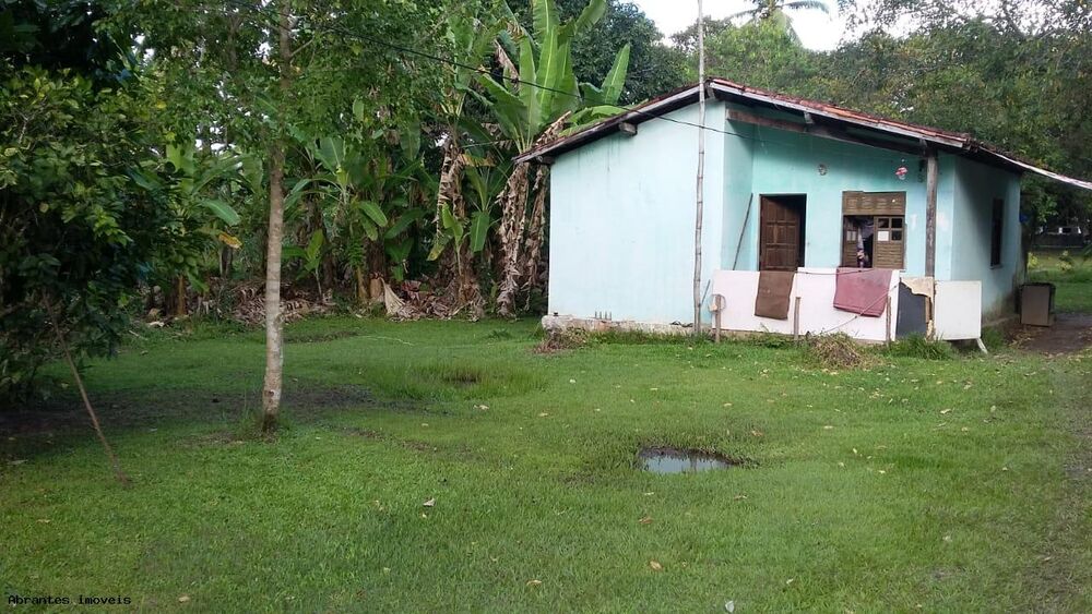 Sítio, 10000 m² - Foto 8