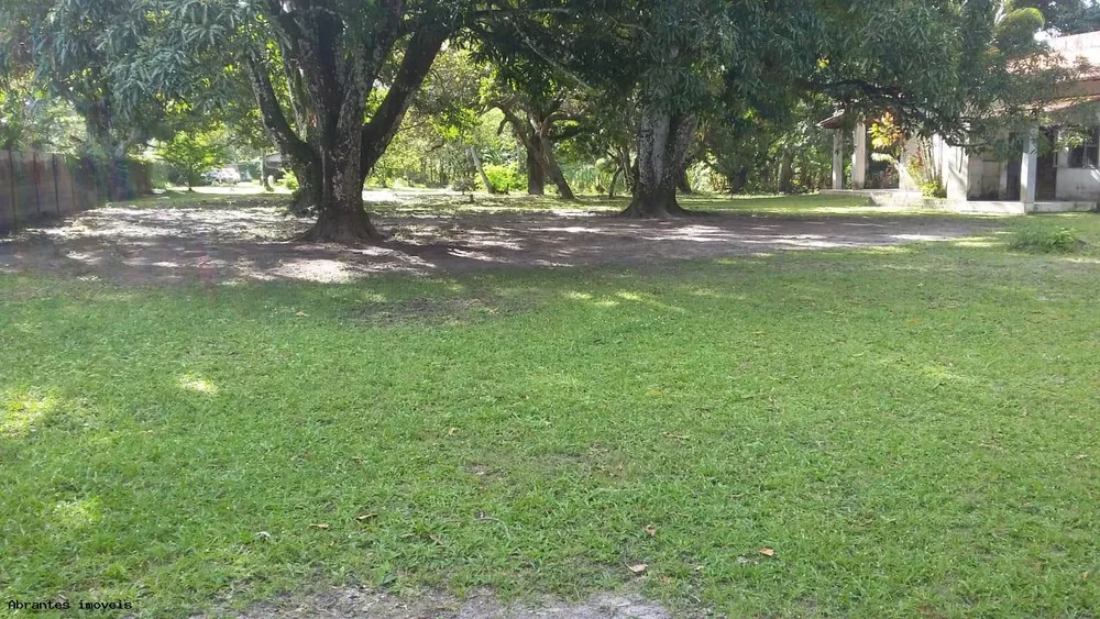 Sítio, 10000 m² - Foto 3