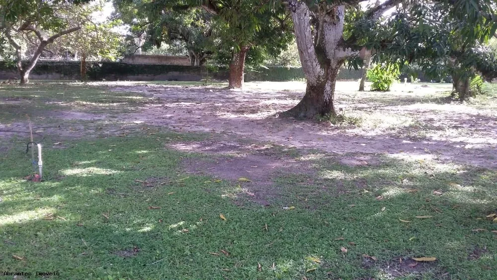 Sítio, 10000 m² - Foto 5