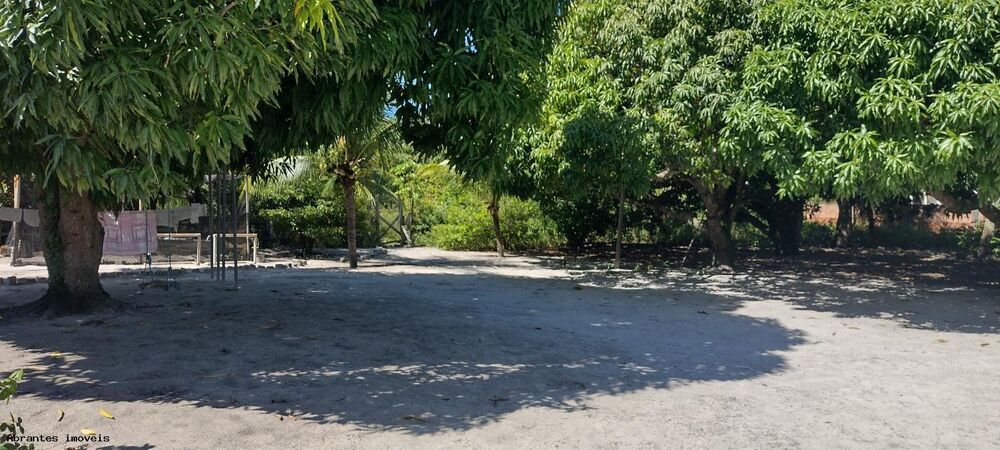 Sítio, 4890 m² - Foto 16