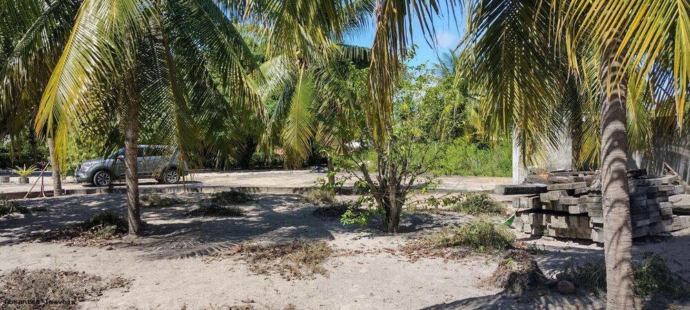 Sítio, 4890 m² - Foto 9