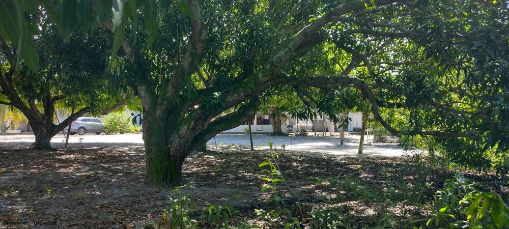 Sítio, 4890 m² - Foto 2