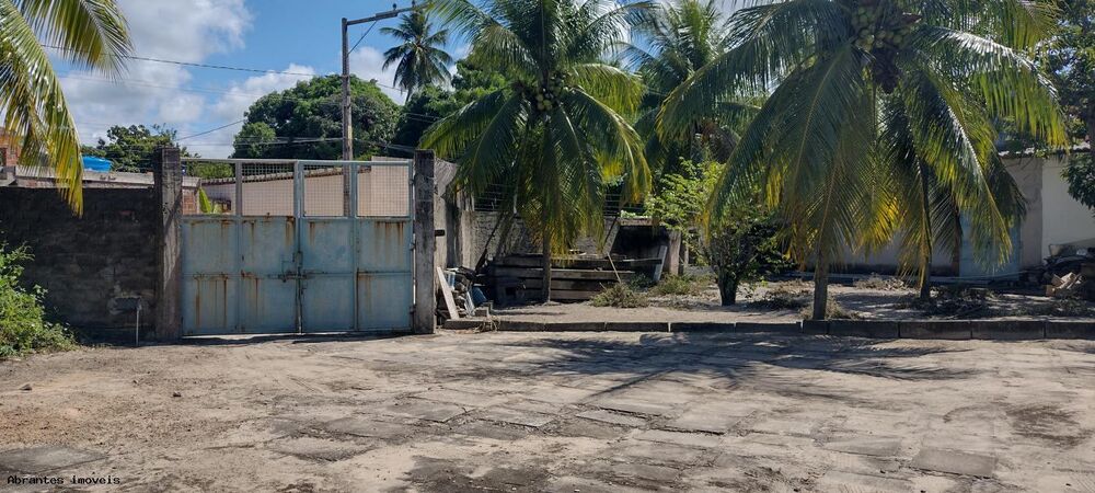 Sítio, 4890 m² - Foto 11