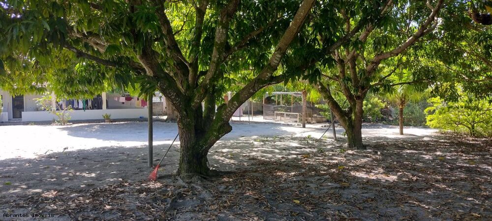 Sítio, 4890 m² - Foto 7