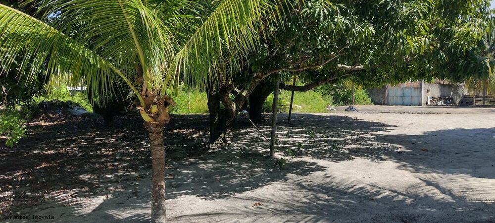 Sítio, 4890 m² - Foto 18