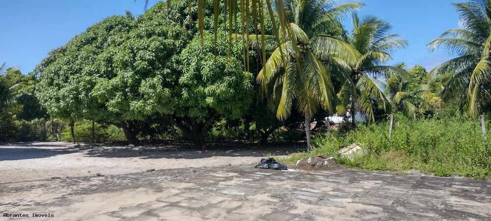 Sítio, 4890 m² - Foto 13