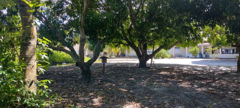 Sítio, 4890 m² - Foto 4