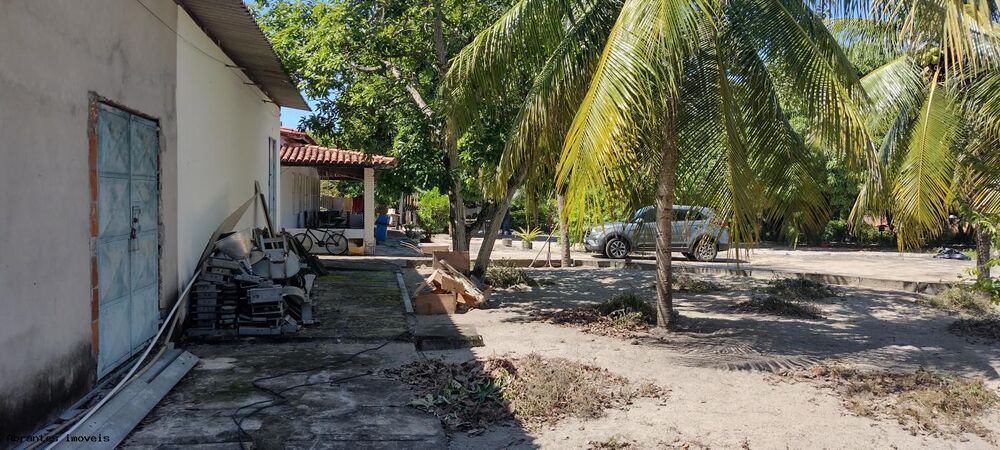 Sítio, 4890 m² - Foto 14