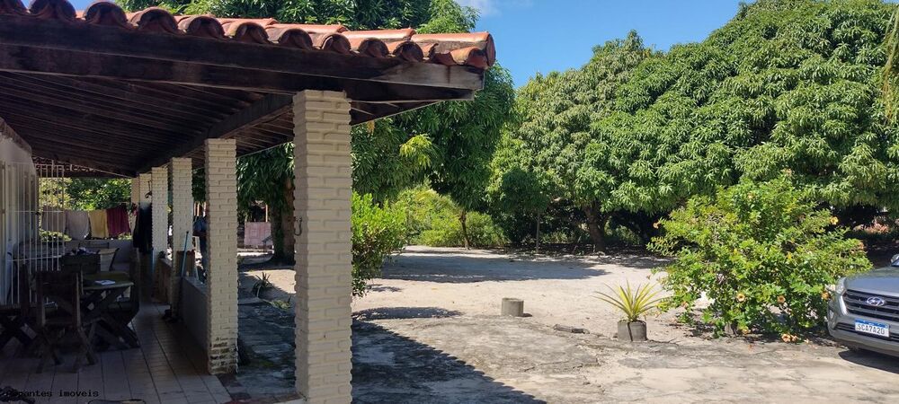 Sítio, 4890 m² - Foto 10