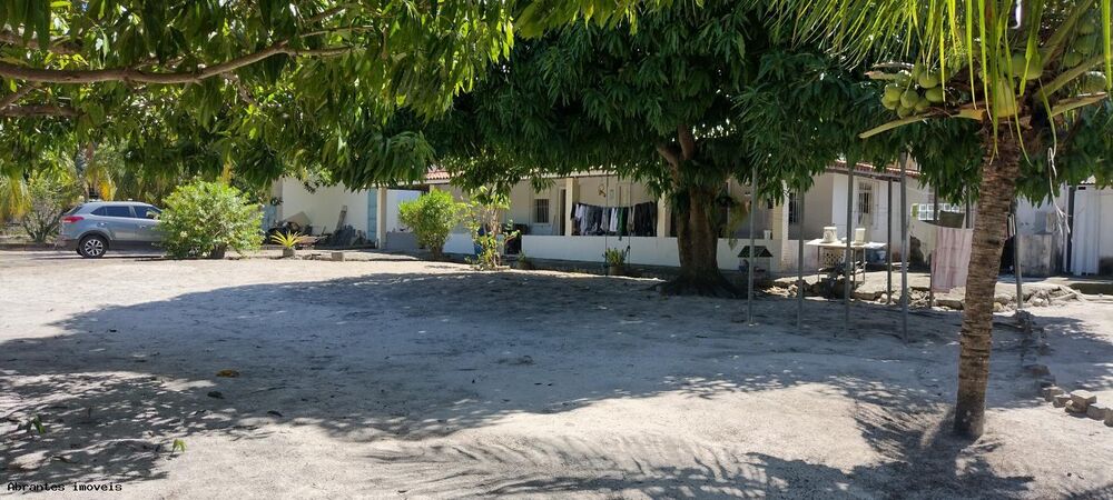 Sítio, 4890 m² - Foto 17