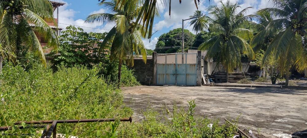 Sítio, 4890 m² - Foto 8