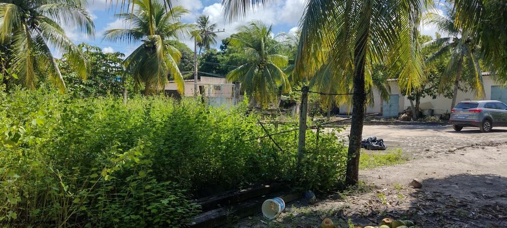 Sítio, 4890 m² - Foto 6