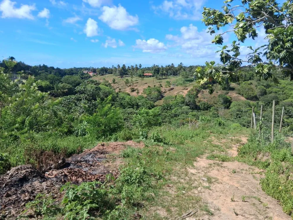 Chácara, 3 quartos, 4 hectares - Foto 8