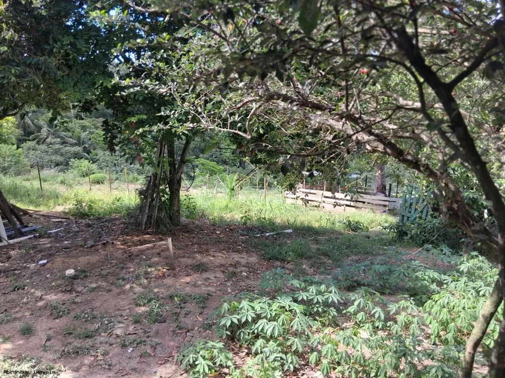 Chácara, 3 quartos, 4 hectares - Foto 11
