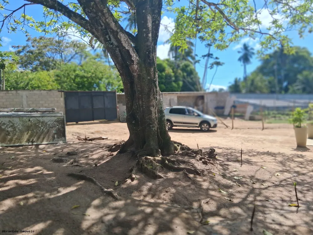 Chácara, 3 quartos, 4 hectares - Foto 4