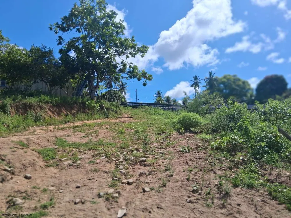 Chácara, 3 quartos, 4 hectares - Foto 6