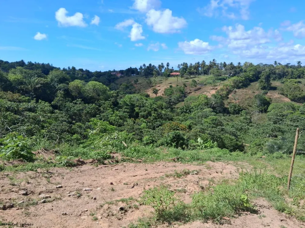 Chácara, 3 quartos, 4 hectares - Foto 7