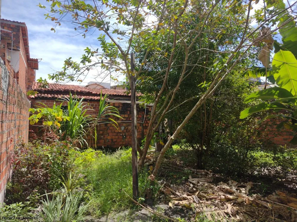 Casa, 2 quartos, 380 m² - Foto 7